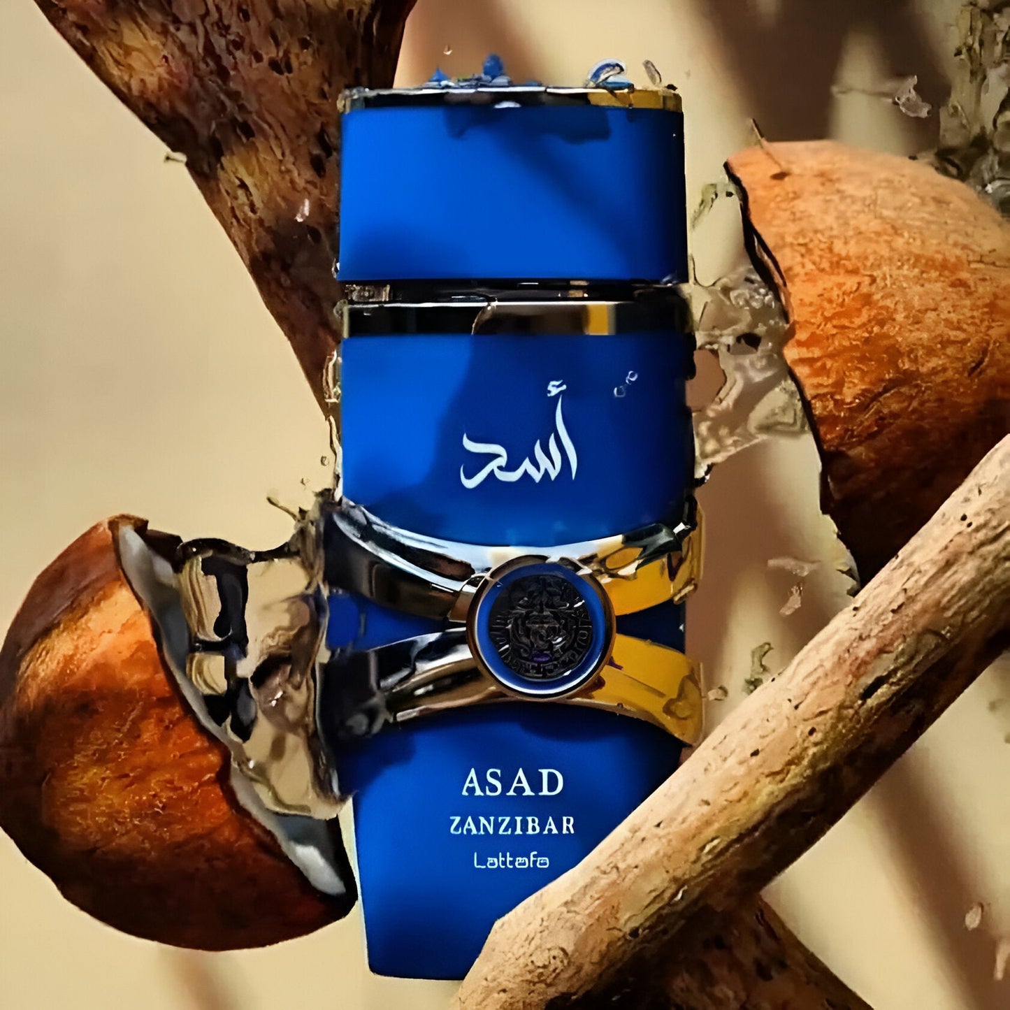 Lattafa Asad Zanzibar Lattafa 100ml